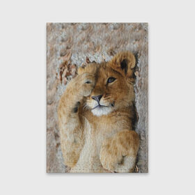 Обложка для паспорта матовая кожа с принтом Львенок в Тюмени, натуральная матовая кожа | размер 19,3 х 13,7 см; прозрачные пластиковые крепления | дикая кошка | животные | кот | кошка | лев | львенок | львица | мордочка | природа | тигр | хищник
