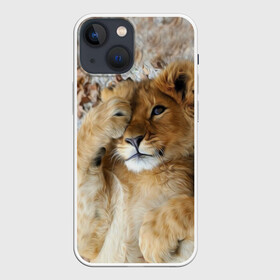 Чехол для iPhone 13 mini с принтом Львенок в Тюмени,  |  | дикая кошка | животные | кот | кошка | лев | львенок | львица | мордочка | природа | тигр | хищник