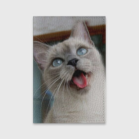 Обложка для паспорта матовая кожа с принтом Сиамский котенок в Тюмени, натуральная матовая кожа | размер 19,3 х 13,7 см; прозрачные пластиковые крепления | Тематика изображения на принте: животные | кот | котенок | котик | кошечка | кошка | милый | мордочка | показывает язык | прикол | серый | сиамская | сиамская кошка | сиамский котенок | юмор | язык