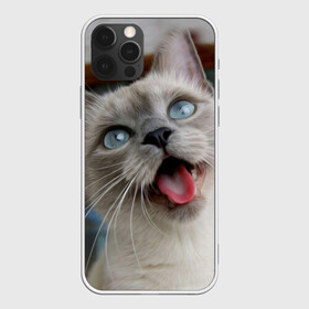 Чехол для iPhone 12 Pro с принтом Сиамский котенок в Тюмени, силикон | область печати: задняя сторона чехла, без боковых панелей | Тематика изображения на принте: животные | кот | котенок | котик | кошечка | кошка | милый | мордочка | показывает язык | прикол | серый | сиамская | сиамская кошка | сиамский котенок | юмор | язык