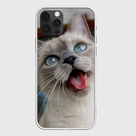 Чехол для iPhone 12 Pro Max с принтом Сиамский котенок в Тюмени, Силикон |  | животные | кот | котенок | котик | кошечка | кошка | милый | мордочка | показывает язык | прикол | серый | сиамская | сиамская кошка | сиамский котенок | юмор | язык