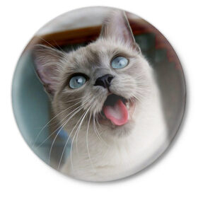 Значок с принтом Сиамский котенок в Тюмени,  металл | круглая форма, металлическая застежка в виде булавки | животные | кот | котенок | котик | кошечка | кошка | милый | мордочка | показывает язык | прикол | серый | сиамская | сиамская кошка | сиамский котенок | юмор | язык