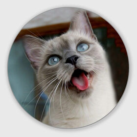 Коврик круглый с принтом Сиамский котенок в Тюмени, резина и полиэстер | круглая форма, изображение наносится на всю лицевую часть | Тематика изображения на принте: животные | кот | котенок | котик | кошечка | кошка | милый | мордочка | показывает язык | прикол | серый | сиамская | сиамская кошка | сиамский котенок | юмор | язык