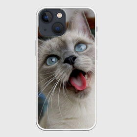 Чехол для iPhone 13 mini с принтом Сиамский котенок в Тюмени,  |  | Тематика изображения на принте: животные | кот | котенок | котик | кошечка | кошка | милый | мордочка | показывает язык | прикол | серый | сиамская | сиамская кошка | сиамский котенок | юмор | язык