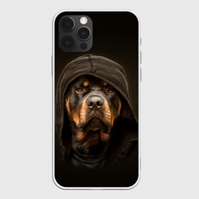 Чехол для iPhone 12 Pro Max с принтом Ротвейлер в капюшоне в Тюмени, Силикон |  | rottweiler | капюшон | молоссы | пастух | пёс | собака | щенок