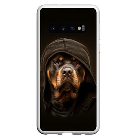 Чехол для Samsung Galaxy S10 с принтом Ротвейлер в капюшоне в Тюмени, Силикон | Область печати: задняя сторона чехла, без боковых панелей | rottweiler | капюшон | молоссы | пастух | пёс | собака | щенок