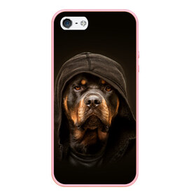 Чехол для iPhone 5/5S матовый с принтом Ротвейлер в капюшоне в Тюмени, Силикон | Область печати: задняя сторона чехла, без боковых панелей | rottweiler | капюшон | молоссы | пастух | пёс | собака | щенок