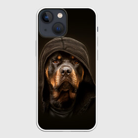 Чехол для iPhone 13 mini с принтом Ротвейлер в капюшоне в Тюмени,  |  | rottweiler | капюшон | молоссы | пастух | пёс | собака | щенок
