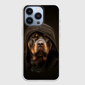 Чехол для iPhone 13 Pro с принтом Ротвейлер в капюшоне в Тюмени,  |  | rottweiler | капюшон | молоссы | пастух | пёс | собака | щенок