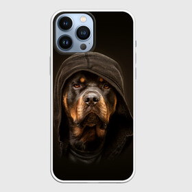Чехол для iPhone 13 Pro Max с принтом Ротвейлер в капюшоне в Тюмени,  |  | rottweiler | капюшон | молоссы | пастух | пёс | собака | щенок