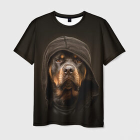 Мужская футболка 3D с принтом Ротвейлер в капюшоне в Тюмени, 100% полиэфир | прямой крой, круглый вырез горловины, длина до линии бедер | Тематика изображения на принте: rottweiler | капюшон | молоссы | пастух | пёс | собака | щенок