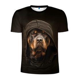 Мужская футболка 3D спортивная с принтом Ротвейлер в капюшоне в Тюмени, 100% полиэстер с улучшенными характеристиками | приталенный силуэт, круглая горловина, широкие плечи, сужается к линии бедра | Тематика изображения на принте: rottweiler | капюшон | молоссы | пастух | пёс | собака | щенок