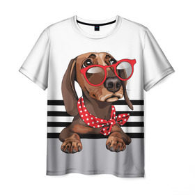 Мужская футболка 3D с принтом Такса в очках в Тюмени, 100% полиэфир | прямой крой, круглый вырез горловины, длина до линии бедер | animal | black | breed | dachshund | dog | domestic | drawing | gra | polka | red | shawl | stripes | white | белый | горошек | графика | домашняя | животное | красный | надпись | очки | платок | полосы | порода | рисунок | собака | такса | текс