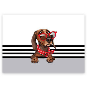 Поздравительная открытка с принтом Такса в очках в Тюмени, 100% бумага | плотность бумаги 280 г/м2, матовая, на обратной стороне линовка и место для марки
 | animal | black | breed | dachshund | dog | domestic | drawing | gra | polka | red | shawl | stripes | white | белый | горошек | графика | домашняя | животное | красный | надпись | очки | платок | полосы | порода | рисунок | собака | такса | текс