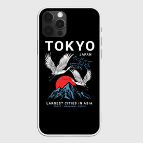 Чехол для iPhone 12 Pro Max с принтом Tokyo в Тюмени, Силикон |  | Тематика изображения на принте: cities | country | japan | large | most | mountains | nagasaki | tokyo | travel | большие | восход | города | горы | графика | журавли | закат | летят | нагасаки | надпись | полет | птицы | путешествия | рисунок | самые | солнце | страна