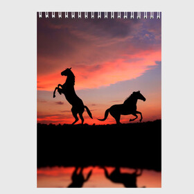 Скетчбук с принтом Кони на закате в Тюмени, 100% бумага
 | 48 листов, плотность листов — 100 г/м2, плотность картонной обложки — 250 г/м2. Листы скреплены сверху удобной пружинной спиралью | животные | закат | кони | конь | лошади | лошадь | природа