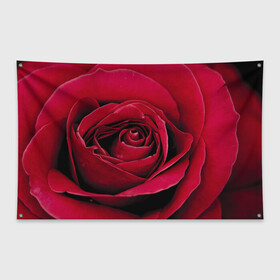 Флаг-баннер с принтом Бутон алой розы в Тюмени, 100% полиэстер | размер 67 х 109 см, плотность ткани — 95 г/м2; по краям флага есть четыре люверса для крепления | 8 | day | flower | flowers | international | nature | pud | rose | roses | womens | бутон | день | женский | марта | международный | природа | растение | роза | розы | цветок | цветы