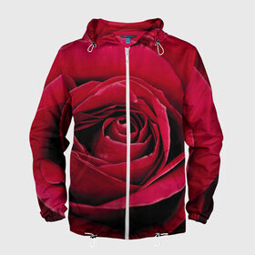 Мужская ветровка 3D с принтом Бутон алой розы в Тюмени, 100% полиэстер | подол и капюшон оформлены резинкой с фиксаторами, два кармана без застежек по бокам, один потайной карман на груди | 8 | day | flower | flowers | international | nature | pud | rose | roses | womens | бутон | день | женский | марта | международный | природа | растение | роза | розы | цветок | цветы