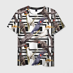 Мужская футболка 3D с принтом Попугаи какаду в Тюмени, 100% полиэфир | прямой крой, круглый вырез горловины, длина до линии бедер | birds | bri | cockatoo | exotic | jungle | palm | parrots | tropical | акварель | геометрический | графика | джунгли | иллюстрация | картинка | мода | молодежная | орнамент | пальмы | попугаи | птицы | рисунок | стиль