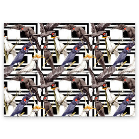 Поздравительная открытка с принтом Попугаи какаду в Тюмени, 100% бумага | плотность бумаги 280 г/м2, матовая, на обратной стороне линовка и место для марки
 | Тематика изображения на принте: birds | bri | cockatoo | exotic | jungle | palm | parrots | tropical | акварель | геометрический | графика | джунгли | иллюстрация | картинка | мода | молодежная | орнамент | пальмы | попугаи | птицы | рисунок | стиль