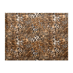 Обложка для студенческого билета с принтом Леопард в Тюмени, натуральная кожа | Размер: 11*8 см; Печать на всей внешней стороне | Тематика изображения на принте: camouflage | cat | disguise | fashion | illustration | jungle | leopard | predator | skin | spots | style | wild | youth | графика | джунгли | дикий | иллюстрация | камуфляж | картинка | кошка | леопард | маскировка | мода | молодежная | пятна | рисунок |