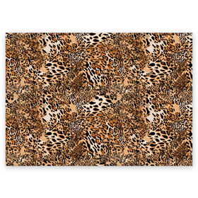 Поздравительная открытка с принтом Леопард в Тюмени, 100% бумага | плотность бумаги 280 г/м2, матовая, на обратной стороне линовка и место для марки
 | camouflage | cat | disguise | fashion | illustration | jungle | leopard | predator | skin | spots | style | wild | youth | графика | джунгли | дикий | иллюстрация | камуфляж | картинка | кошка | леопард | маскировка | мода | молодежная | пятна | рисунок |