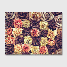 Альбом для рисования с принтом Шоколадные розы в Тюмени, 100% бумага
 | матовая бумага, плотность 200 мг. | Тематика изображения на принте: бабушке | девочке | девушке | дочке | желтые цветы | женщине | маме | подруге | природа | розовые цветы | розы | сестре | теще | тюльпаны | цветы