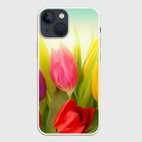 Чехол для iPhone 13 mini с принтом Тюльпаны в Тюмени,  |  | бабушке | девочке | девушке | дочке | желтые цветы | женщине | маме | подруге | природа | розовые цветы | розы | сестре | теще | тюльпаны | цветы