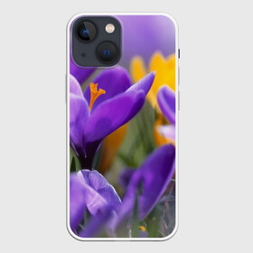 Чехол для iPhone 13 mini с принтом Фиолетовые цветы в Тюмени,  |  | бабушке | девочке | девушке | дочке | желтые цветы | женщине | маме | подруге | природа | розовые цветы | розы | сестре | теще | тюльпаны | цветы
