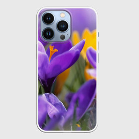 Чехол для iPhone 13 Pro с принтом Фиолетовые цветы в Тюмени,  |  | бабушке | девочке | девушке | дочке | желтые цветы | женщине | маме | подруге | природа | розовые цветы | розы | сестре | теще | тюльпаны | цветы