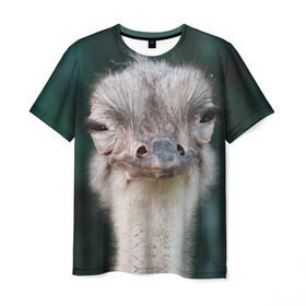 Мужская футболка 3D с принтом Подозрительный страус в Тюмени, 100% полиэфир | прямой крой, круглый вырез горловины, длина до линии бедер | lol | глаза | голова | детям | животные | зеленая | лол | подарок | подмигивает | подозрительно | прикольная | природа | смешная | страус | эмоции | юмор