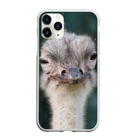 Чехол для iPhone 11 Pro Max матовый с принтом Подозрительный страус в Тюмени, Силикон |  | lol | глаза | голова | детям | животные | зеленая | лол | подарок | подмигивает | подозрительно | прикольная | природа | смешная | страус | эмоции | юмор