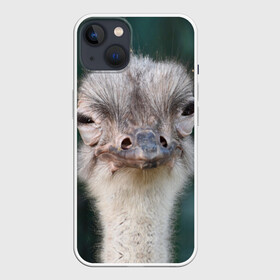 Чехол для iPhone 13 с принтом Подозрительный страус в Тюмени,  |  | lol | глаза | голова | детям | животные | зеленая | лол | подарок | подмигивает | подозрительно | прикольная | природа | смешная | страус | эмоции | юмор