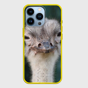 Чехол для iPhone 13 Pro с принтом Подозрительный страус в Тюмени,  |  | lol | глаза | голова | детям | животные | зеленая | лол | подарок | подмигивает | подозрительно | прикольная | природа | смешная | страус | эмоции | юмор