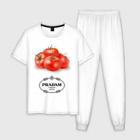Мужская пижама хлопок с принтом PRADAM в Тюмени, 100% хлопок | брюки и футболка прямого кроя, без карманов, на брюках мягкая резинка на поясе и по низу штанин
 | антитренд | прада