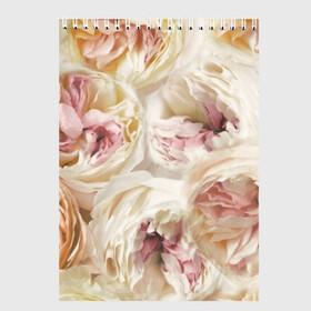 Скетчбук с принтом Нежные Пионы в Тюмени, 100% бумага
 | 48 листов, плотность листов — 100 г/м2, плотность картонной обложки — 250 г/м2. Листы скреплены сверху удобной пружинной спиралью | букет | красивый | милый | пион | роза | розовый | розочка | свадебный | флористика | цветок | цветы