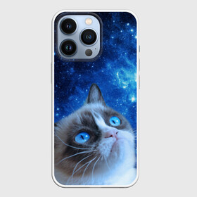 Чехол для iPhone 13 Pro с принтом Сердитый кот в космосе в Тюмени,  |  | Тематика изображения на принте: grumpy cat | космос | кот | кот в космосе | кот мем | кошка | кошка мем | мем кот | сердитый кот | синий кот