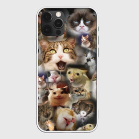 Чехол для iPhone 12 Pro Max с принтом Те самые коты в Тюмени, Силикон |  | Тематика изображения на принте: грустный кот мем | кот | кот мем | коты | кошка | мем | мем про котов | мемы | мемы с котами