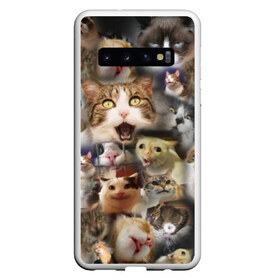 Чехол для Samsung Galaxy S10 с принтом Те самые коты в Тюмени, Силикон | Область печати: задняя сторона чехла, без боковых панелей | Тематика изображения на принте: грустный кот мем | кот | кот мем | коты | кошка | мем | мем про котов | мемы | мемы с котами