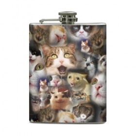 Фляга с принтом Те самые коты в Тюмени, металлический корпус | емкость 0,22 л, размер 125 х 94 мм. Виниловая наклейка запечатывается полностью | Тематика изображения на принте: грустный кот мем | кот | кот мем | коты | кошка | мем | мем про котов | мемы | мемы с котами