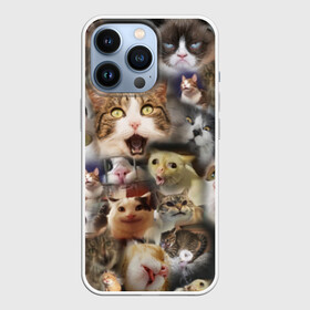 Чехол для iPhone 13 Pro с принтом Те самые коты в Тюмени,  |  | Тематика изображения на принте: грустный кот мем | кот | кот мем | коты | кошка | мем | мем про котов | мемы | мемы с котами