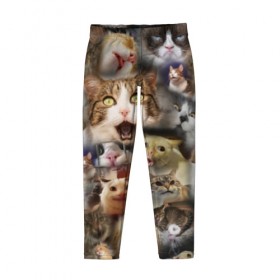 Детские леггинсы 3D с принтом Те самые коты в Тюмени, полиэстер 85%, спандекс 15% | эластичный пояс, зауженный крой | Тематика изображения на принте: грустный кот мем | кот | кот мем | коты | кошка | мем | мем про котов | мемы | мемы с котами