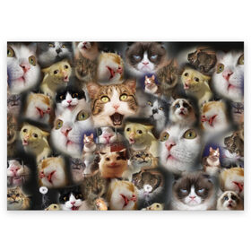 Поздравительная открытка с принтом Те самые коты в Тюмени, 100% бумага | плотность бумаги 280 г/м2, матовая, на обратной стороне линовка и место для марки
 | Тематика изображения на принте: грустный кот мем | кот | кот мем | коты | кошка | мем | мем про котов | мемы | мемы с котами