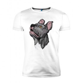 Мужская футболка премиум с принтом Pitbull в Тюмени, 92% хлопок, 8% лайкра | приталенный силуэт, круглый вырез ворота, длина до линии бедра, короткий рукав | dog | pitbull | питбуль | собака | собаки