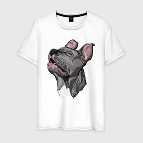 Мужская футболка хлопок с принтом Pitbull в Тюмени, 100% хлопок | прямой крой, круглый вырез горловины, длина до линии бедер, слегка спущенное плечо. | dog | pitbull | питбуль | собака | собаки
