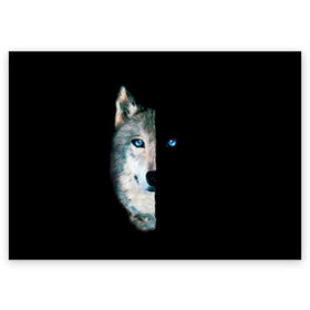 Поздравительная открытка с принтом Волк в Тюмени, 100% бумага | плотность бумаги 280 г/м2, матовая, на обратной стороне линовка и место для марки
 | Тематика изображения на принте: animal | art | blue | day | head | muzzle | night | predator | view | wild | wolf | взгляд | волк | голова | день | дикий | животное | искусство | ночь | синий | хищник