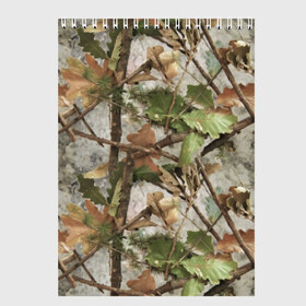 Скетчбук с принтом Камуфляж в Тюмени, 100% бумага
 | 48 листов, плотность листов — 100 г/м2, плотность картонной обложки — 250 г/м2. Листы скреплены сверху удобной пружинной спиралью | Тематика изображения на принте: army | autumn | branches | camouflage | disguise | fishing | forest | green | khaki | leaves | nature | oak | photo | армия | ветки | дуб | зеленый | камуфляж | лес | листья | маскировка | осень | охота | природа | рыбалка | фото | хаки