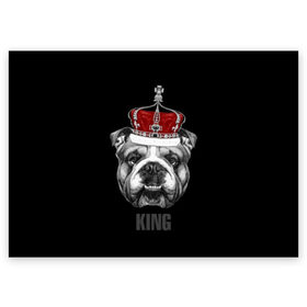 Поздравительная открытка с принтом Английский бульдог с короной в Тюмени, 100% бумага | плотность бумаги 280 г/м2, матовая, на обратной стороне линовка и место для марки
 | Тематика изображения на принте: animals | authority | breed | bulldog | cool | crown | dog | english | fighting | head | illustration | inscription | king | muzzle | supreme | swag | авторитет | английский | бойцовый | бульдог | верховный | голова | животные | иллюстрация | король | кор