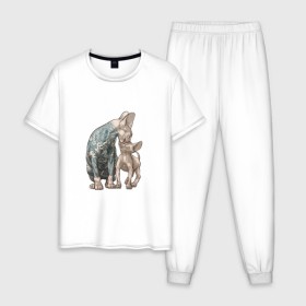 Мужская пижама хлопок с принтом Сфинксы в Тюмени, 100% хлопок | брюки и футболка прямого кроя, без карманов, на брюках мягкая резинка на поясе и по низу штанин
 | котик | коты | кошка | прикольный принт | принт на футболке | сфинксы | татуированные коты | татуированные сфинксы