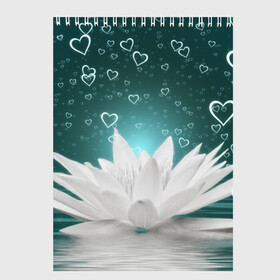 Скетчбук с принтом Цветок в Тюмени, 100% бумага
 | 48 листов, плотность листов — 100 г/м2, плотность картонной обложки — 250 г/м2. Листы скреплены сверху удобной пружинной спиралью | белый | красивая | лотос | милая | привлекательная | сердечки | сердце | цветок